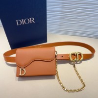 CINTO DE BOLSA REMOVÍVEL SADDLE DIOR 